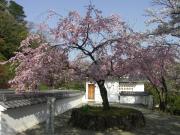 画像(180x135)・拡大画像(640x480)