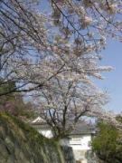 画像(135x180)・拡大画像(480x640)