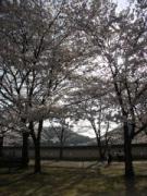 画像(135x180)・拡大画像(480x640)