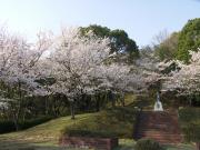 画像(180x135)・拡大画像(640x480)