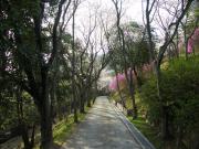 画像(180x135)・拡大画像(640x480)