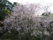 画像(180x135)・拡大画像(640x480)