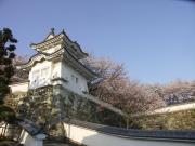 画像(180x135)・拡大画像(640x480)