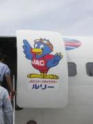 画像(135x180)・拡大画像(480x640)