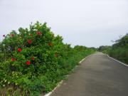 画像(180x135)・拡大画像(640x480)