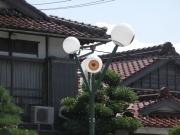 画像(180x135)・拡大画像(640x480)