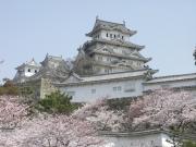 画像(180x135)・拡大画像(640x480)