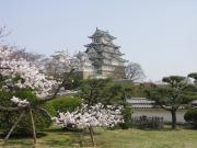 画像(180x135)・拡大画像(640x480)