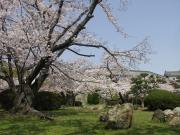 画像(180x135)・拡大画像(640x480)