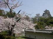 画像(180x135)・拡大画像(640x480)