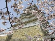 画像(180x135)・拡大画像(640x480)