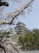 画像(135x180)・拡大画像(480x640)