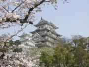 画像(180x135)・拡大画像(640x480)