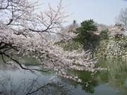 画像(180x135)・拡大画像(640x480)