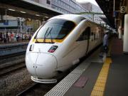 かもめは白いとは限らない