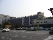 かもめは白いとは限らない