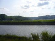 画像(180x135)・拡大画像(640x480)