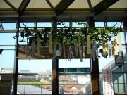 画像(180x135)・拡大画像(640x480)