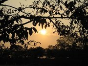 画像(180x135)・拡大画像(640x480)