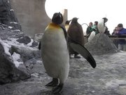 画像(180x135)・拡大画像(640x480)