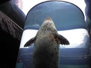 画像(180x135)・拡大画像(640x480)