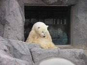 画像(180x135)・拡大画像(640x480)