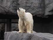 画像(180x135)・拡大画像(640x480)