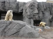 画像(180x135)・拡大画像(640x480)