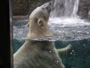 画像(180x135)・拡大画像(640x480)