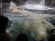 画像(180x135)・拡大画像(640x480)