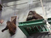 画像(180x135)・拡大画像(640x480)