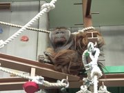 画像(180x135)・拡大画像(640x480)