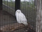 画像(180x135)・拡大画像(640x480)