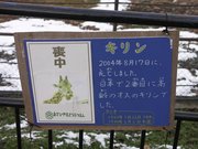 画像(180x135)・拡大画像(640x480)