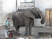 画像(180x135)・拡大画像(640x480)