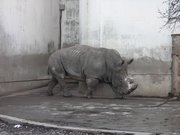 画像(180x135)・拡大画像(640x480)