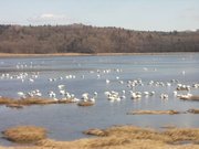 画像(180x135)・拡大画像(640x480)