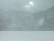 画像(180x135)・拡大画像(640x480)