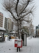 画像(135x180)・拡大画像(480x640)