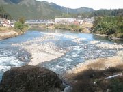 画像(180x135)・拡大画像(640x480)