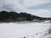 画像(180x135)・拡大画像(640x480)