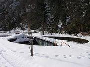 画像(180x135)・拡大画像(640x480)