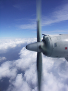 画像(135x180)・拡大画像(480x640)