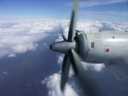 画像(180x135)・拡大画像(640x480)