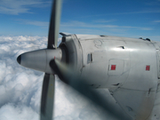 画像(180x135)・拡大画像(640x480)