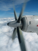 画像(135x180)・拡大画像(480x640)