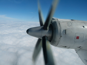 画像(180x135)・拡大画像(640x480)