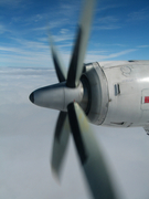 画像(135x180)・拡大画像(480x640)