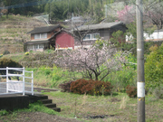 画像(180x135)・拡大画像(640x480)