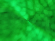 画像(180x135)・拡大画像(640x480)